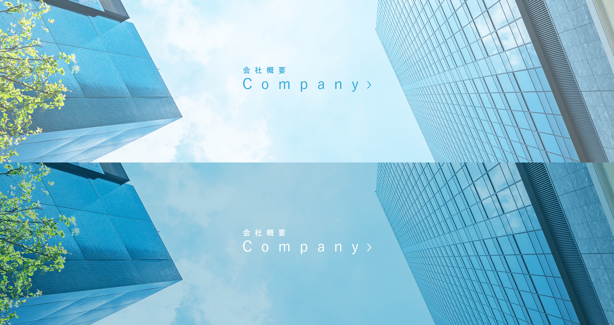 company_banner